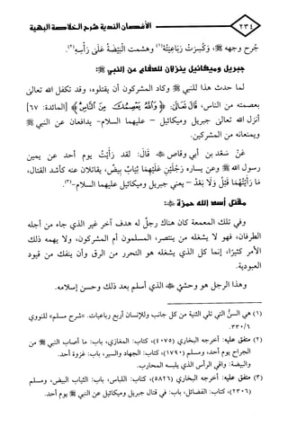 الأغصان الندية في شرح السيرة النبوية