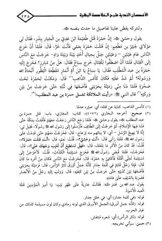 الأغصان الندية في شرح السيرة النبوية