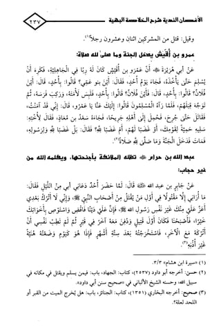 الأغصان الندية في شرح السيرة النبوية