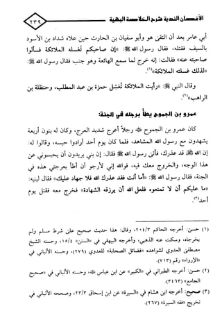 الأغصان الندية في شرح السيرة النبوية