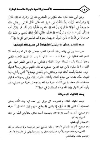 الأغصان الندية في شرح السيرة النبوية