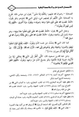 الأغصان الندية في شرح السيرة النبوية