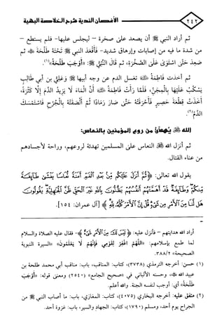 الأغصان الندية في شرح السيرة النبوية