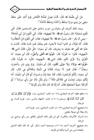 الأغصان الندية في شرح السيرة النبوية