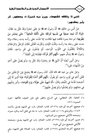 الأغصان الندية في شرح السيرة النبوية