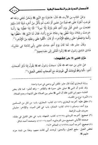 الأغصان الندية في شرح السيرة النبوية