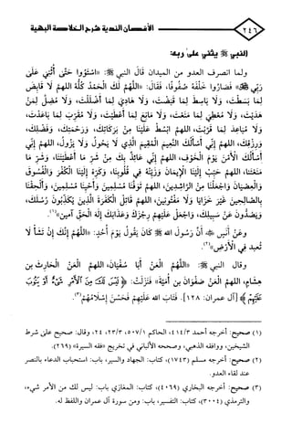 الأغصان الندية في شرح السيرة النبوية