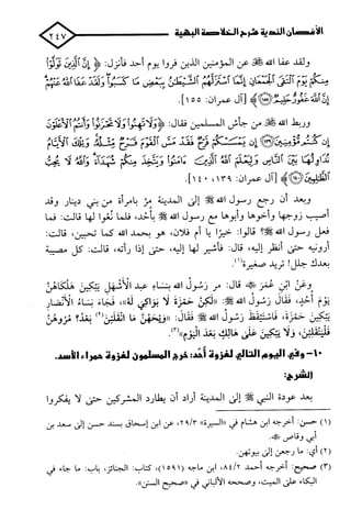 الأغصان الندية في شرح السيرة النبوية