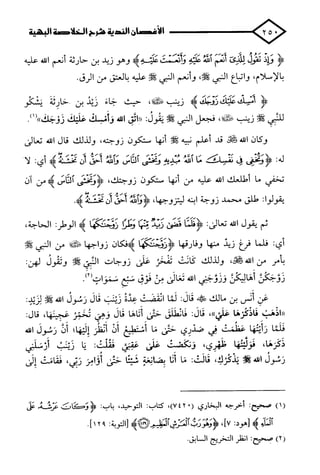 الأغصان الندية في شرح السيرة النبوية