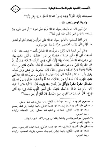 الأغصان الندية في شرح السيرة النبوية