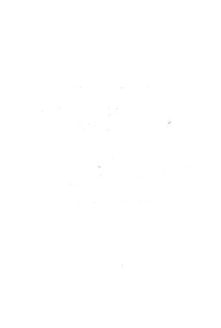 الأغصان الندية في شرح السيرة النبوية