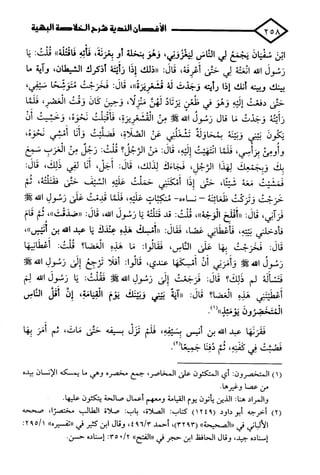 الأغصان الندية في شرح السيرة النبوية