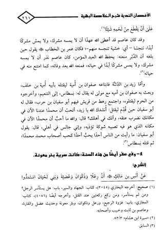 الأغصان الندية في شرح السيرة النبوية