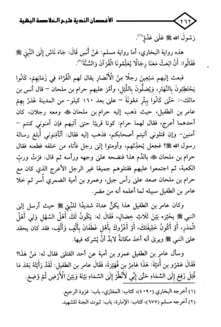 الأغصان الندية في شرح السيرة النبوية