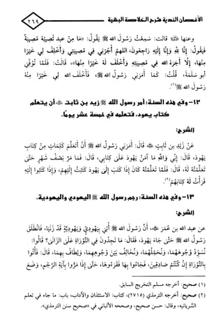 الأغصان الندية في شرح السيرة النبوية