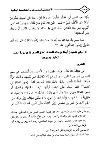 الأغصان الندية في شرح السيرة النبوية