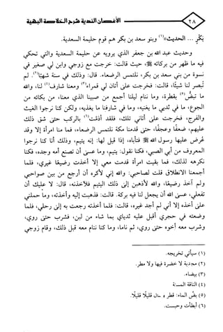 الأغصان الندية في شرح السيرة النبوية