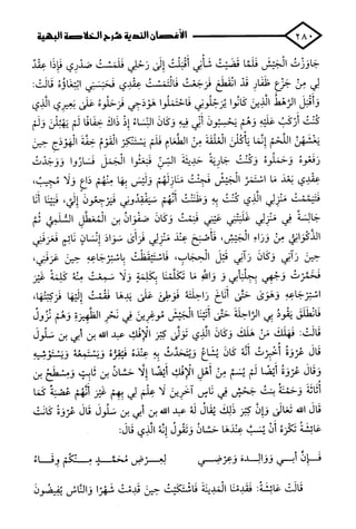 الأغصان الندية في شرح السيرة النبوية