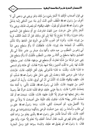 الأغصان الندية في شرح السيرة النبوية