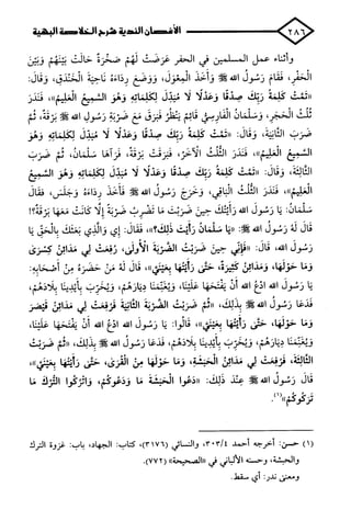 الأغصان الندية في شرح السيرة النبوية