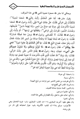 الأغصان الندية في شرح السيرة النبوية