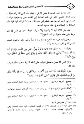 الأغصان الندية في شرح السيرة النبوية