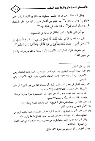 الأغصان الندية في شرح السيرة النبوية