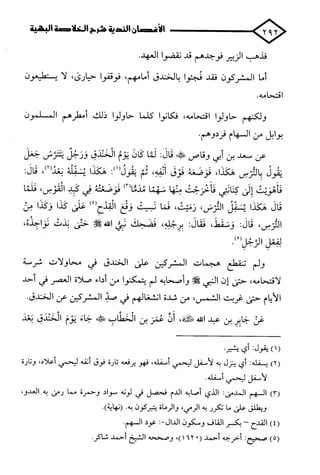 الأغصان الندية في شرح السيرة النبوية