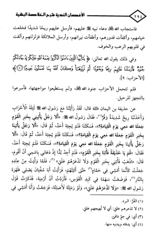 الأغصان الندية في شرح السيرة النبوية