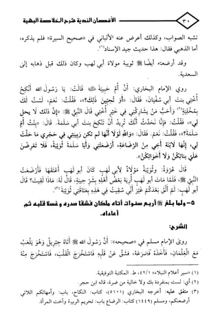 الأغصان الندية في شرح السيرة النبوية