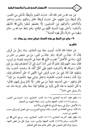 الأغصان الندية في شرح السيرة النبوية