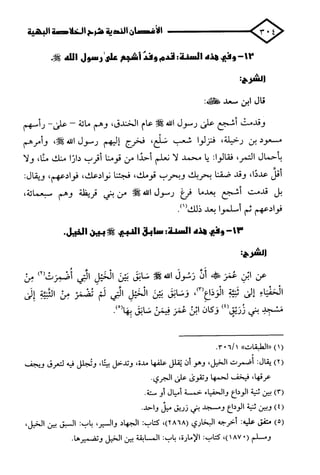 الأغصان الندية في شرح السيرة النبوية