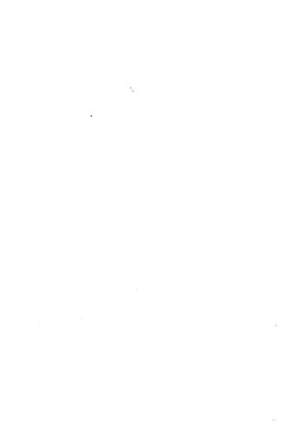 الأغصان الندية في شرح السيرة النبوية