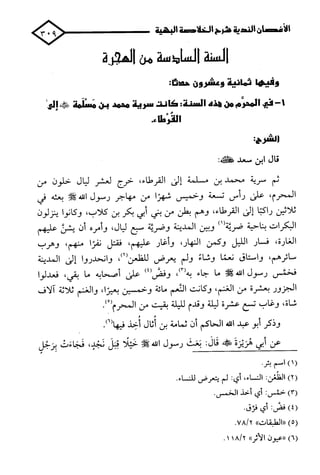 الأغصان الندية في شرح السيرة النبوية