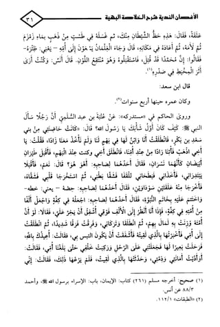 الأغصان الندية في شرح السيرة النبوية