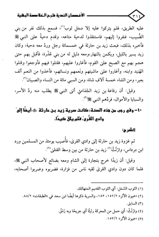 الأغصان الندية في شرح السيرة النبوية