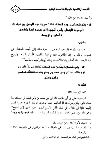 الأغصان الندية في شرح السيرة النبوية