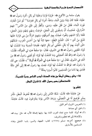 الأغصان الندية في شرح السيرة النبوية