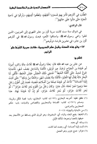 الأغصان الندية في شرح السيرة النبوية