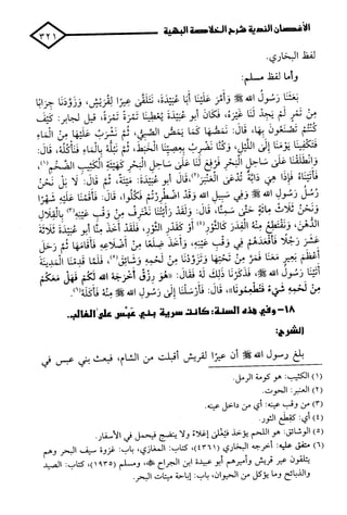 الأغصان الندية في شرح السيرة النبوية