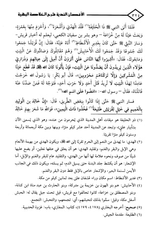 الأغصان الندية في شرح السيرة النبوية