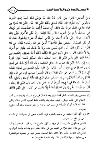 الأغصان الندية في شرح السيرة النبوية