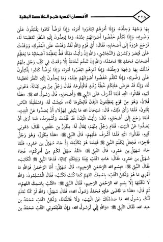 الأغصان الندية في شرح السيرة النبوية