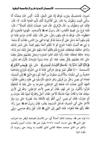 الأغصان الندية في شرح السيرة النبوية