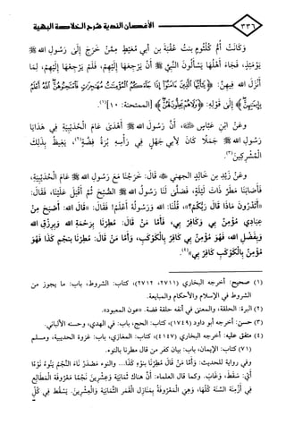 الأغصان الندية في شرح السيرة النبوية