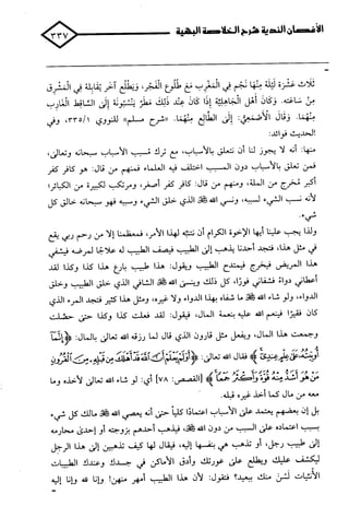 الأغصان الندية في شرح السيرة النبوية