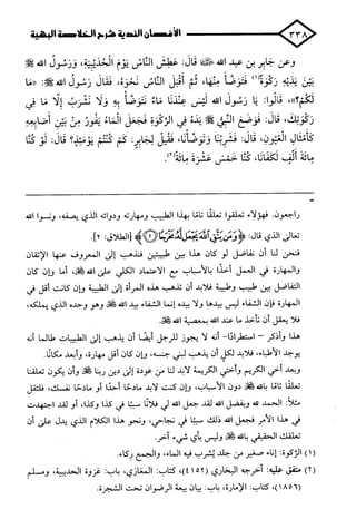 الأغصان الندية في شرح السيرة النبوية