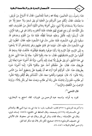 الأغصان الندية في شرح السيرة النبوية