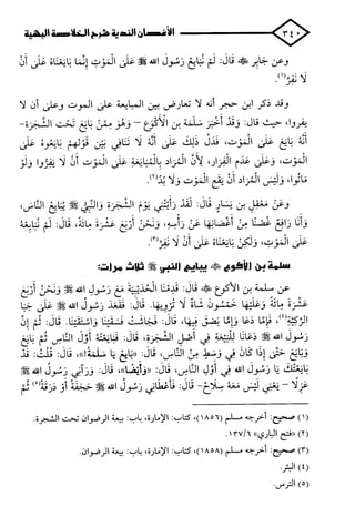 الأغصان الندية في شرح السيرة النبوية