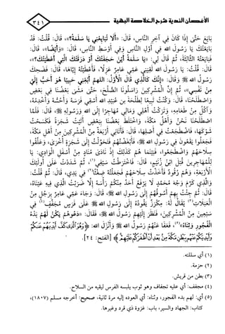 الأغصان الندية في شرح السيرة النبوية